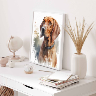 Redbone Coonhound akvarel