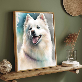 Americký eskymácký pes akvarel