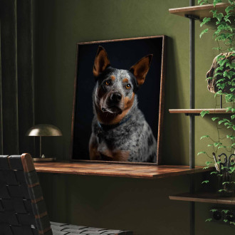 Australský honácký pes realistic