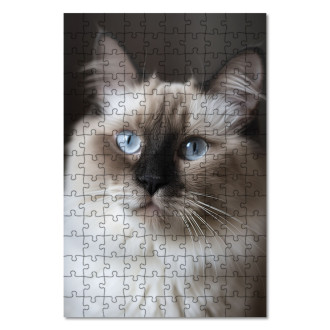 Dřevěné puzzle Ragdoll kočka realistic