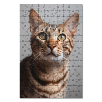 Dřevěné puzzle Ocicat kočka realistic