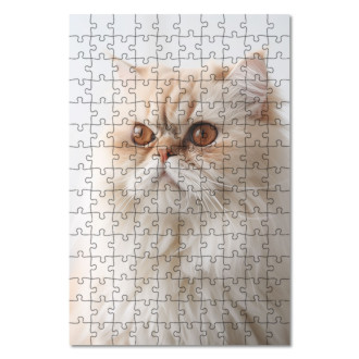 Dřevěné puzzle Perská kočka realistic