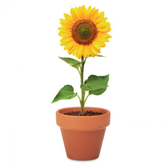 SUNFLOWER, Terakotový květináč slunečnice