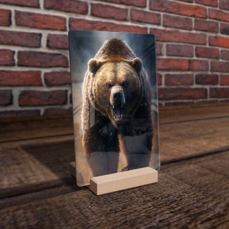 Akrylové sklo Velký grizzly