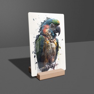 Akrylové sklo Graffiti papoušek