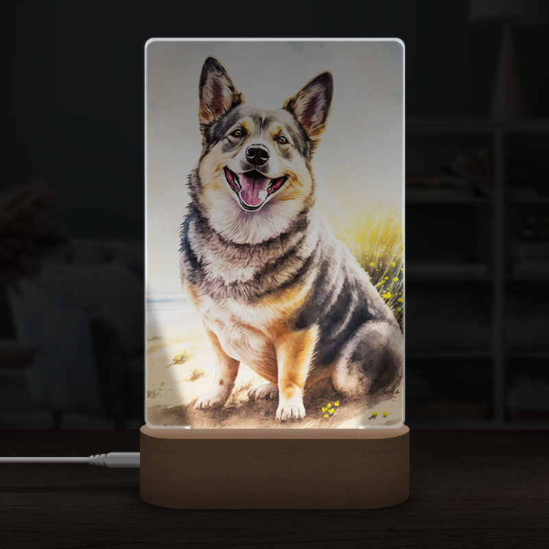 Švédský Vallhund akvarel