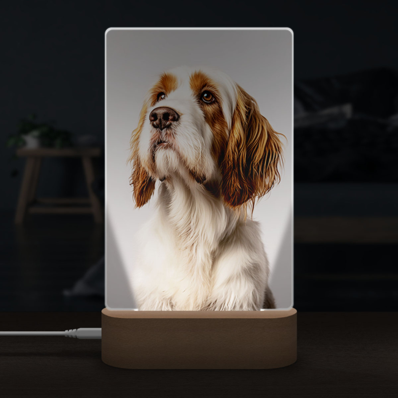 Petit Basset Griffon Vendéen realistic