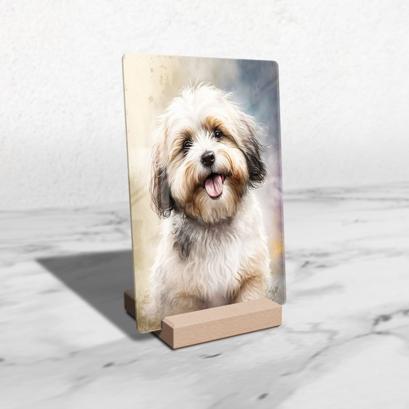 Havanese akvarel