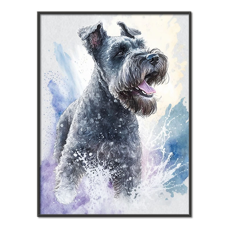 Kerry Blue Terrier akvarel