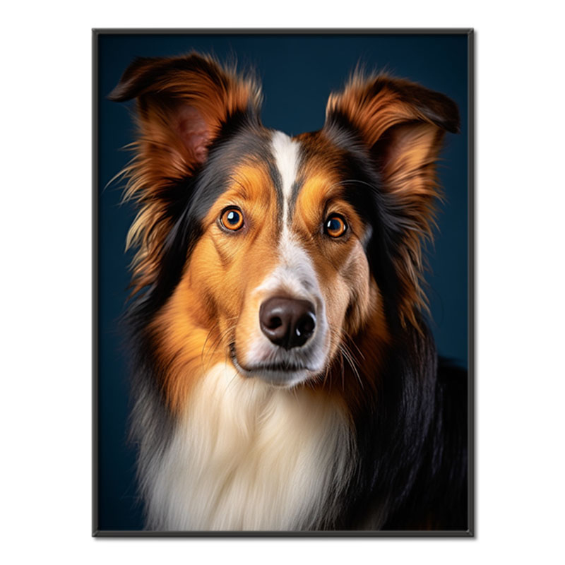 Kolie realistic