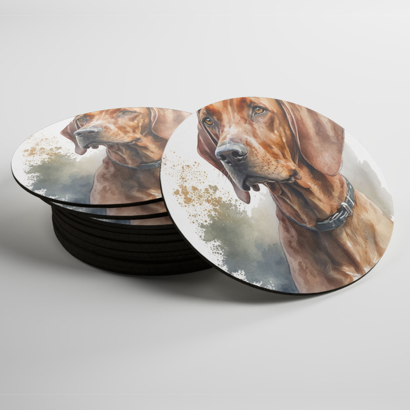 Podtácky Redbone Coonhound akvarel