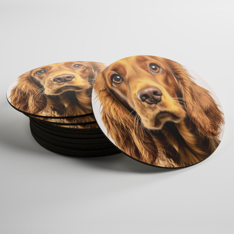 Podtácky Kokršpaněl realistic