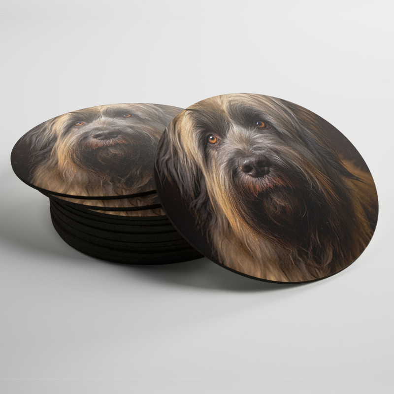 Podtácky Briard realistic