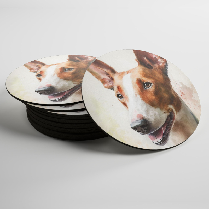 Podtácky Ibizský chrt akvarel