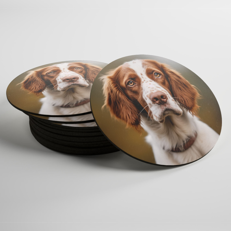 Podtácky Welsh Springer Spaniel realistic