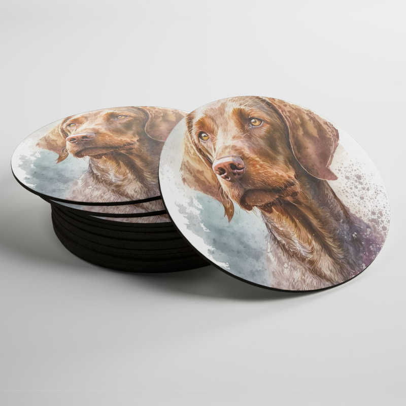 Podtácky Wirehaired Vizsla akvarel