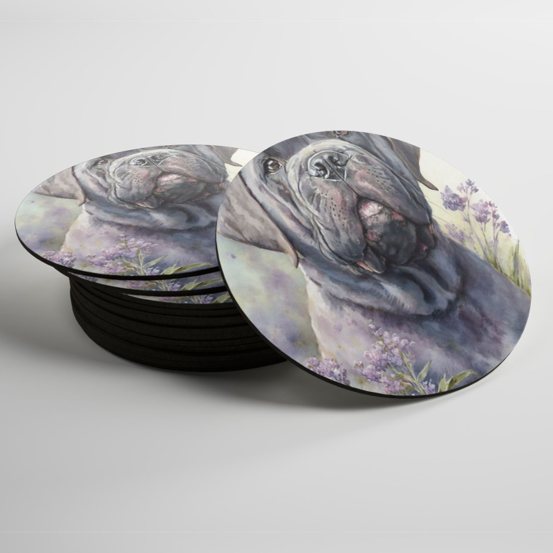 Podtácky Neapolský mastif akvarel