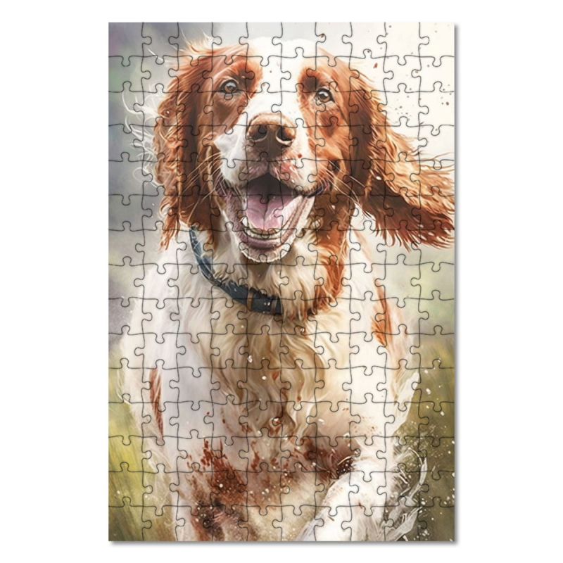 Dřevěné puzzle Irský červenobílý setr akvarel