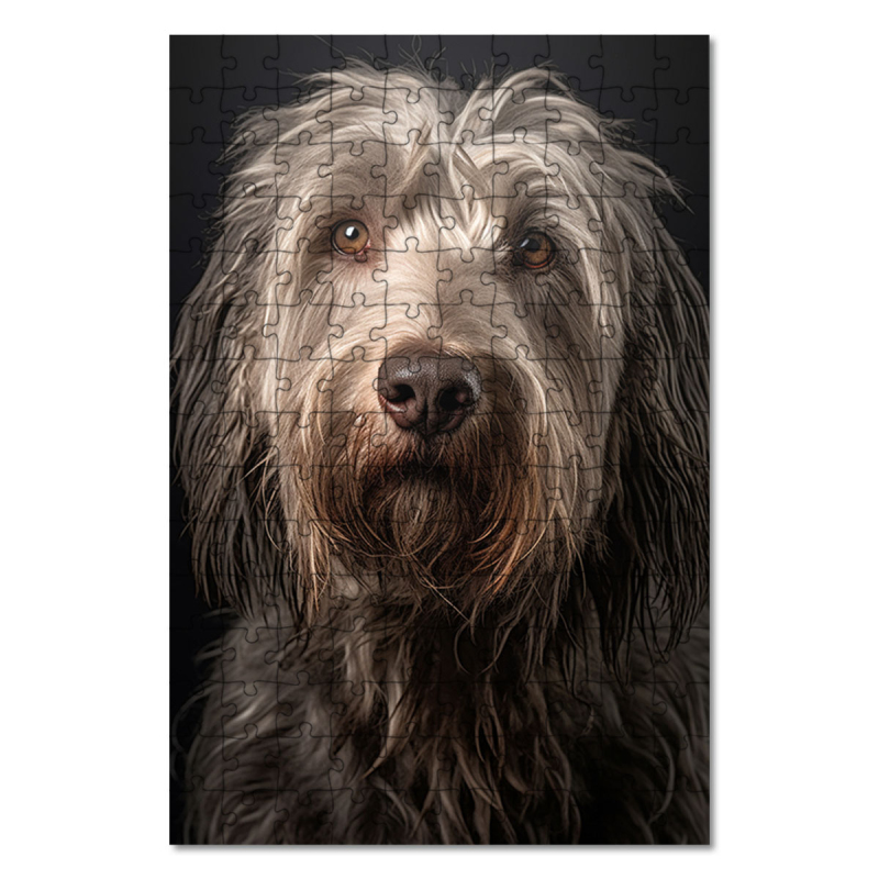 Dřevěné puzzle Bergamaský ovčák realistic