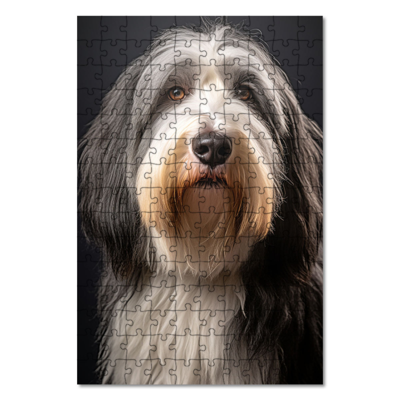 Dřevěné puzzle Bearded kolie realistic