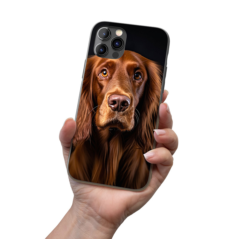 Irský setr realistic