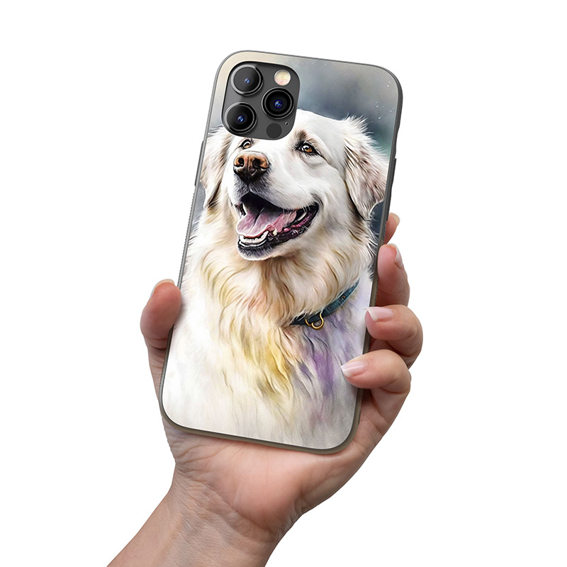 Lagotti Romagnoli akvarel