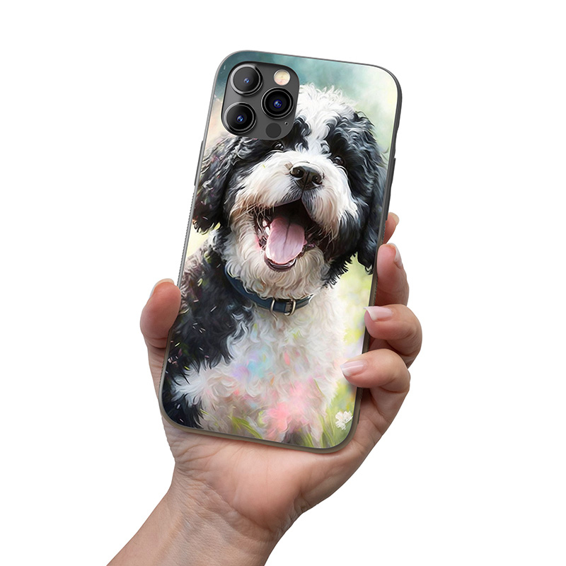 Portugalský vodní pes akvarel