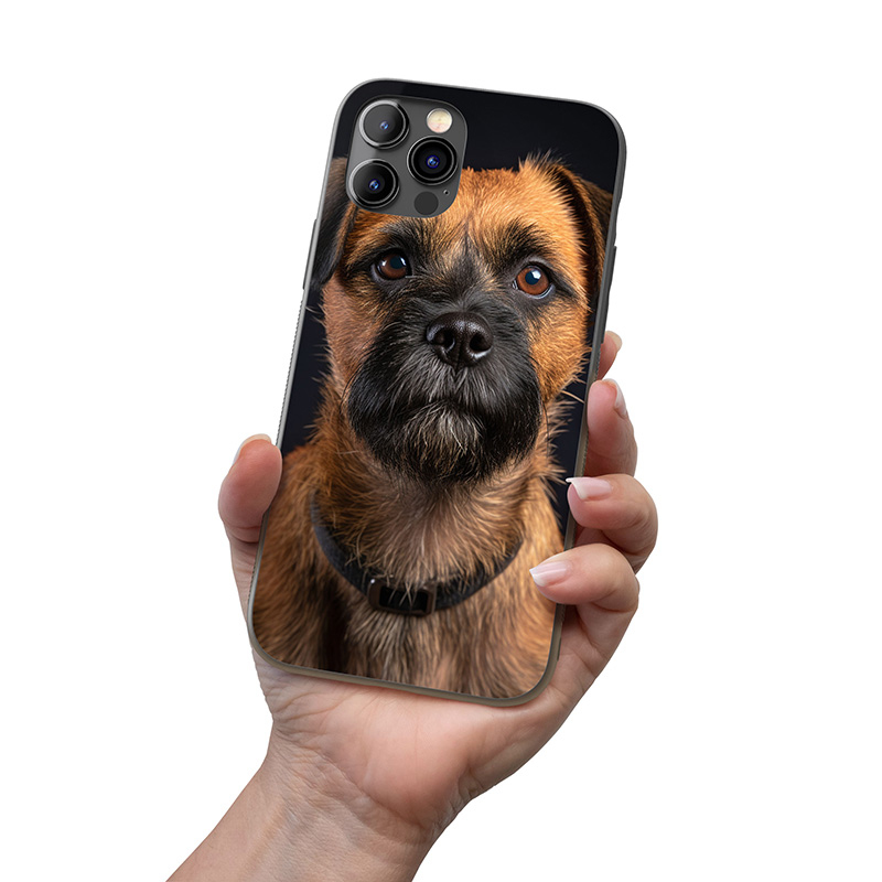 Border teriér realistic