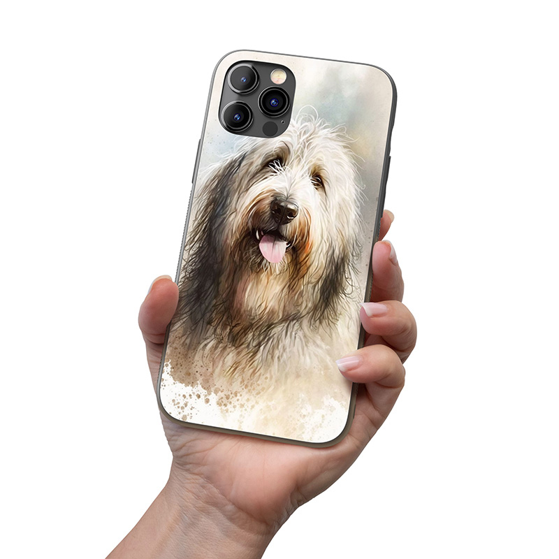 Bergamaský ovčák akvarel