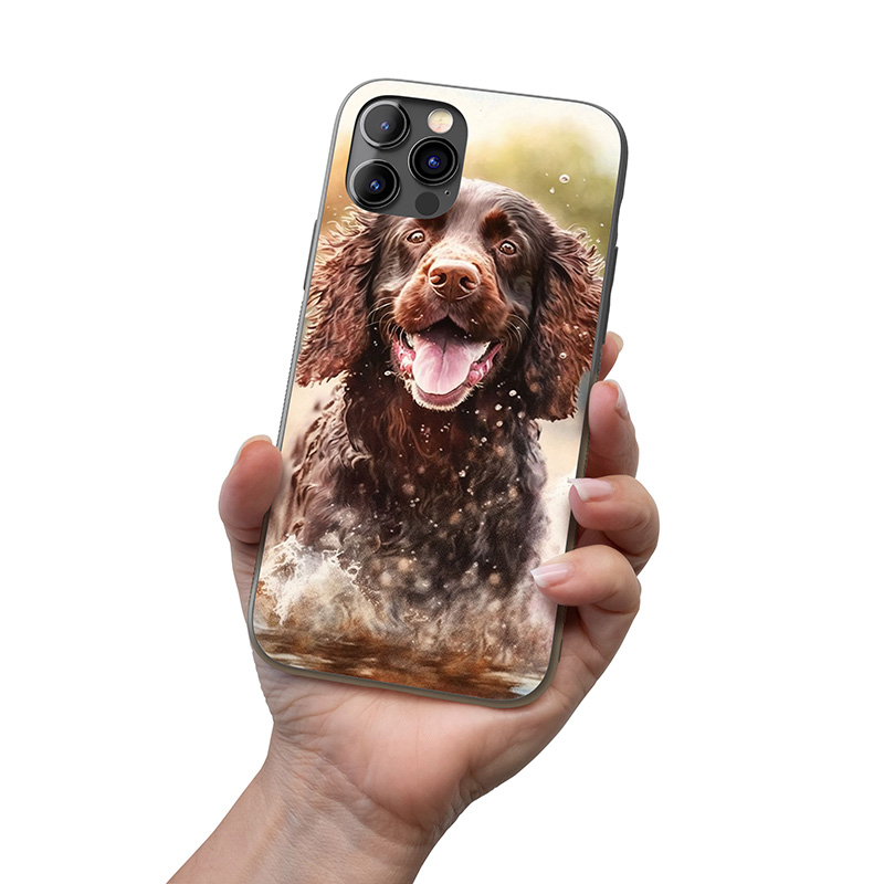 Americký vodní španěl akvarel