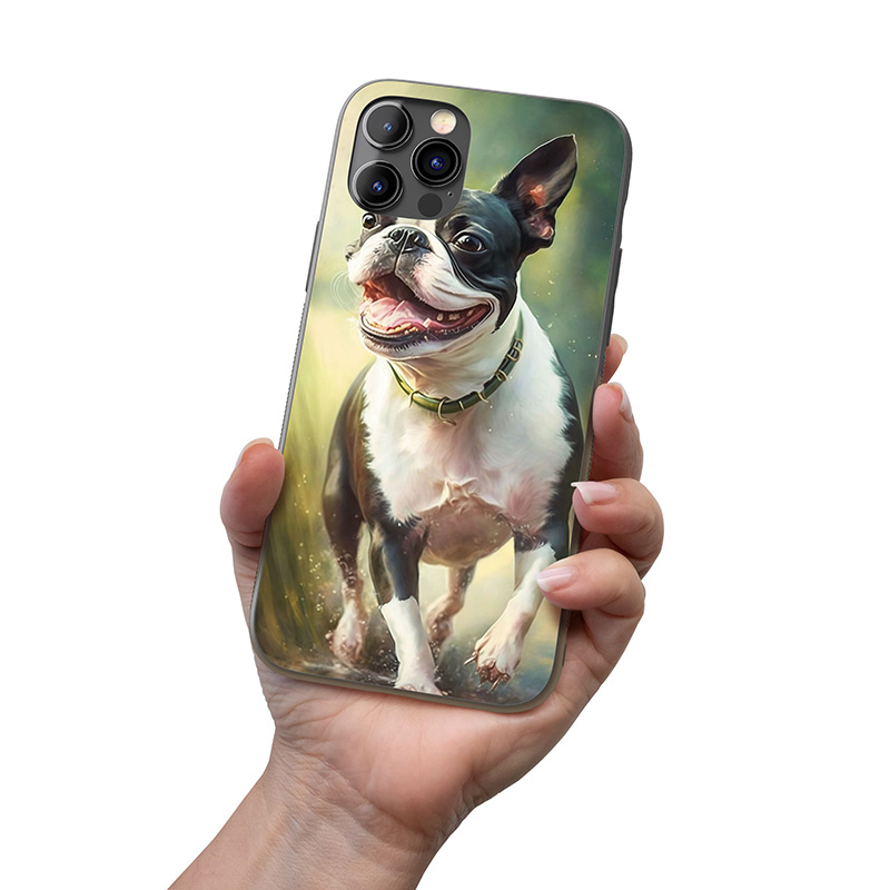 Bostonský teriér akvarel