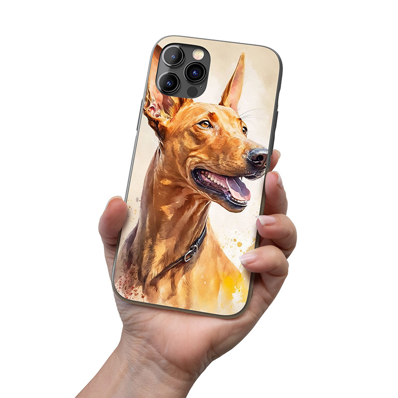 Faraonský chrt akvarel