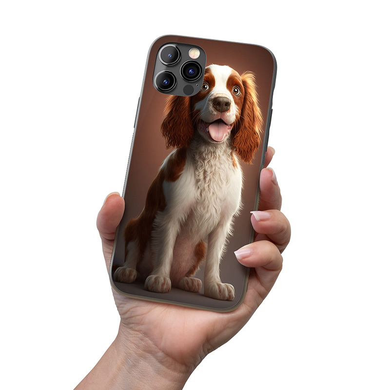 Welsh Springer Spaniel animovaný