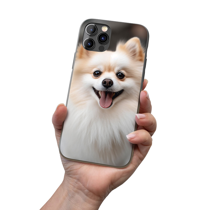 Pomeranian realistic