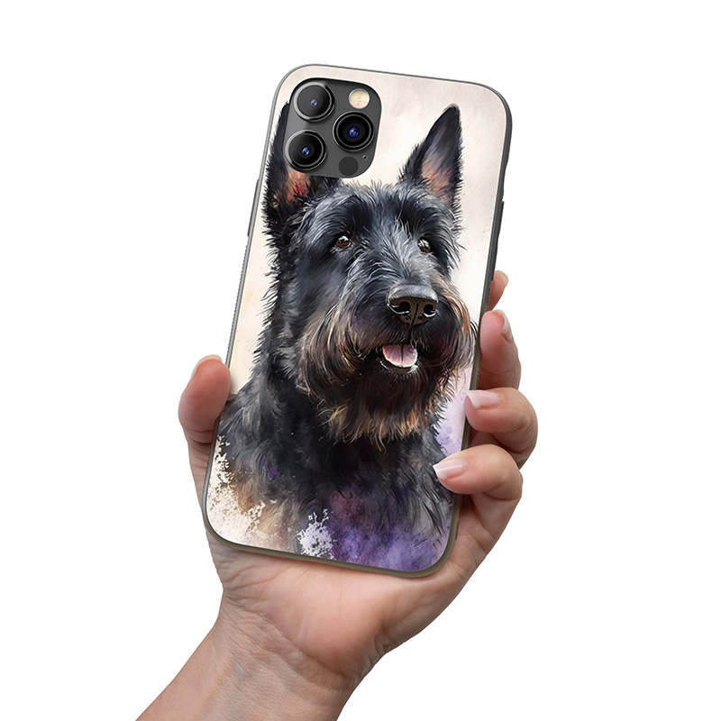 Skotský teriér akvarel