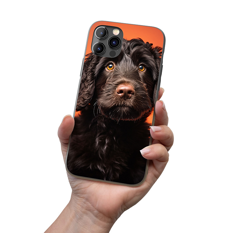 Portugalský vodní pes realistic