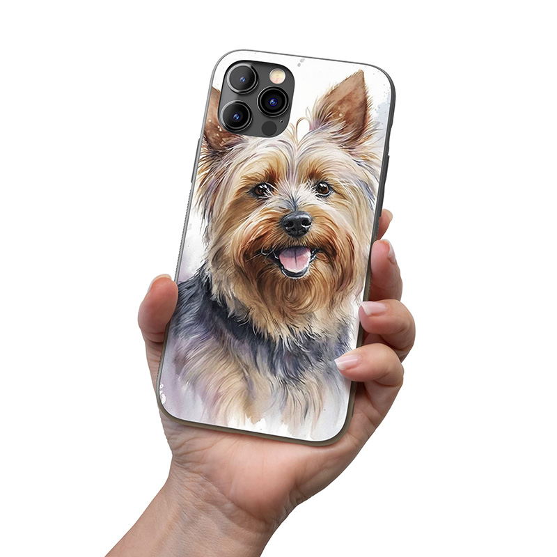 Silky Terrier akvarel