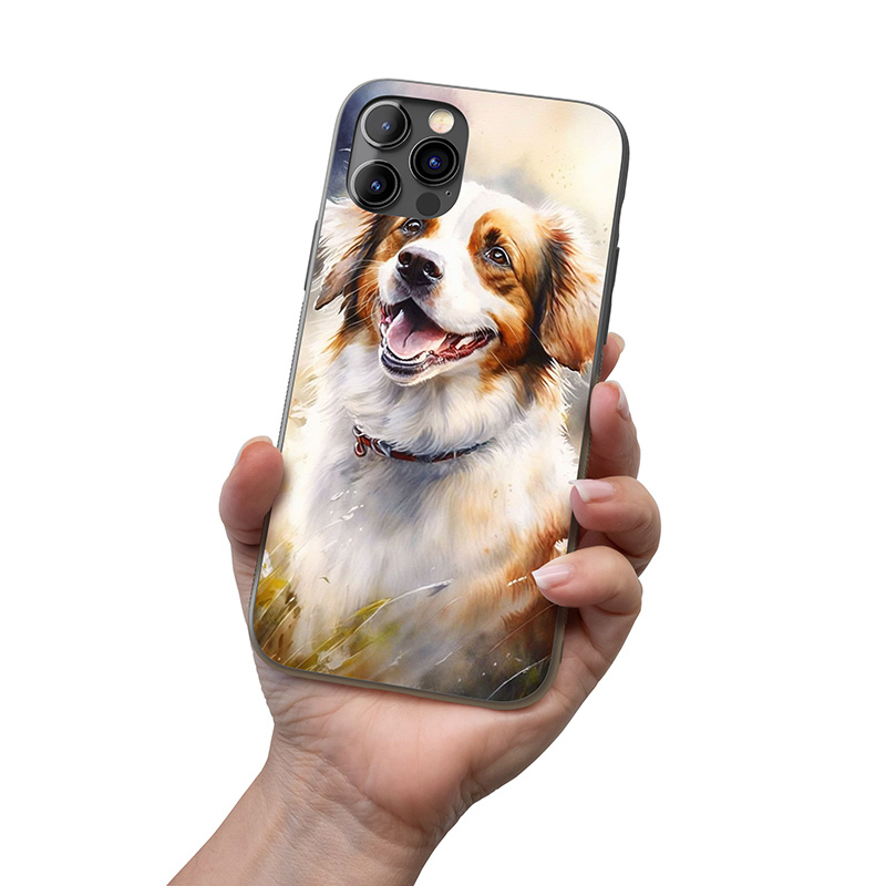 Holandský Kooikerhondje akvarel