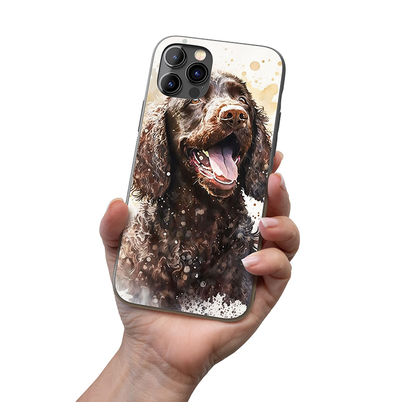 Irský vodní španěl akvarel