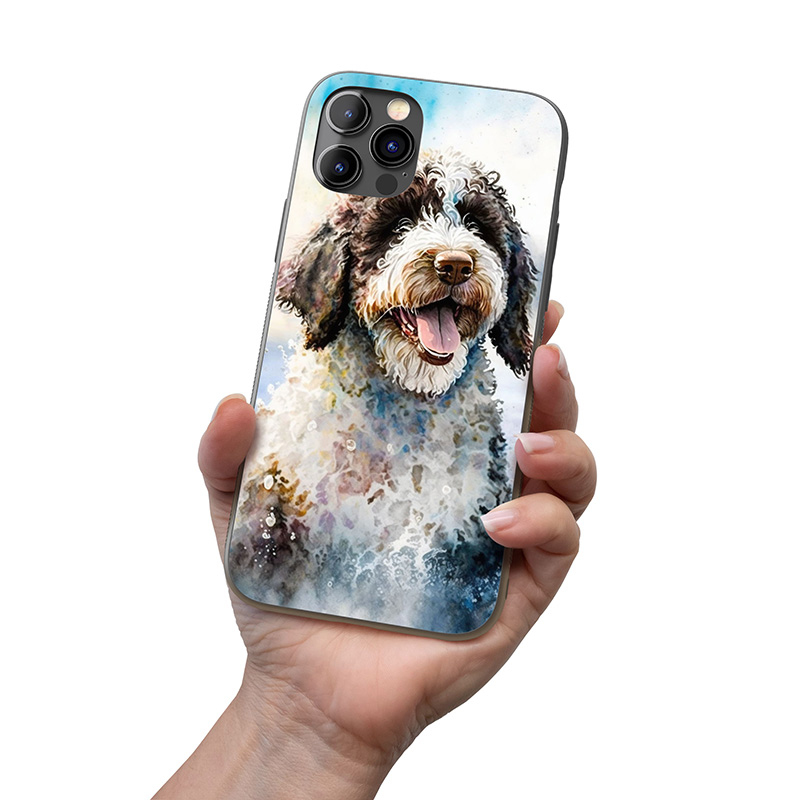 Španělský vodní pes akvarel