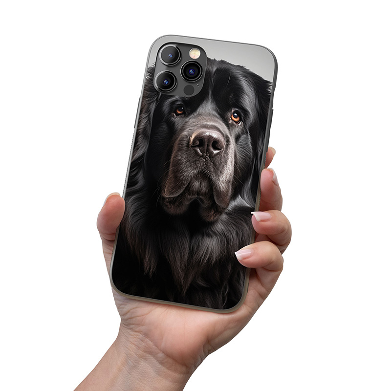 Flat Coated Retrívr realistic