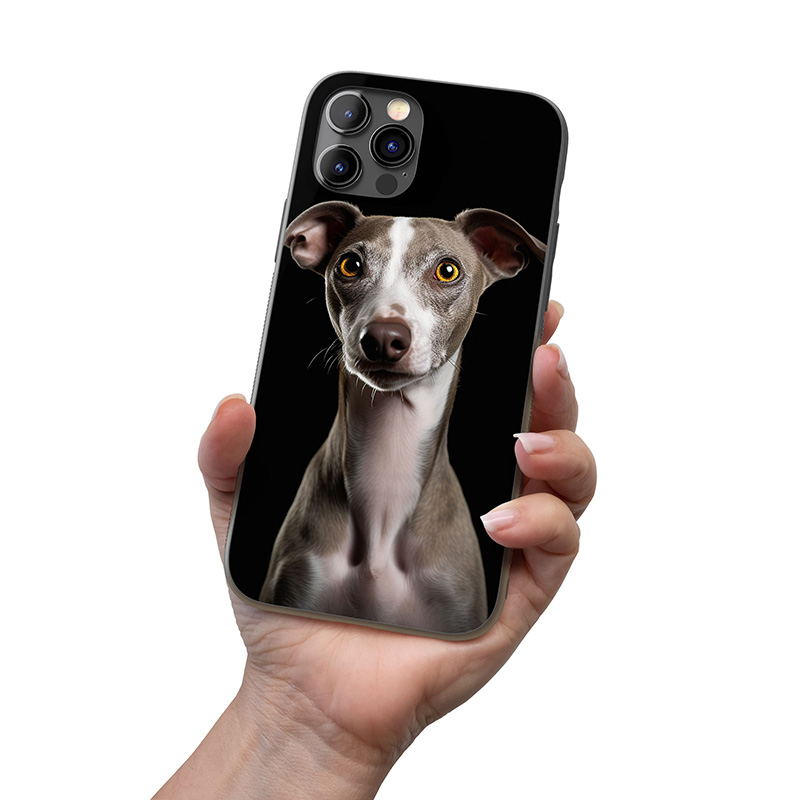 Italský chrtík realistic