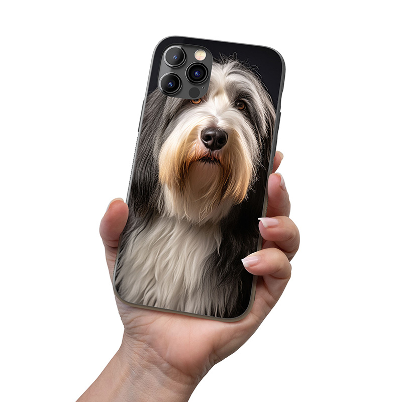 Bearded kolie realistic