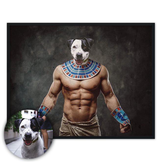 Portrét mazlíčka Anubis