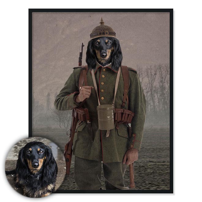 Portrét mazlíčka Soldier