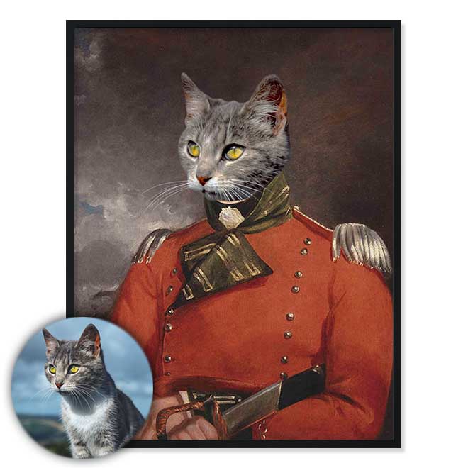 Portrét mazlíčka Englishman