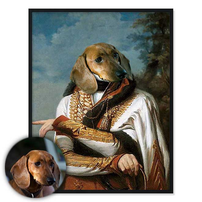 Portrét mazlíčka Hussar