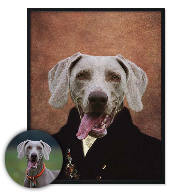 Portrét mazlíčka Mayor