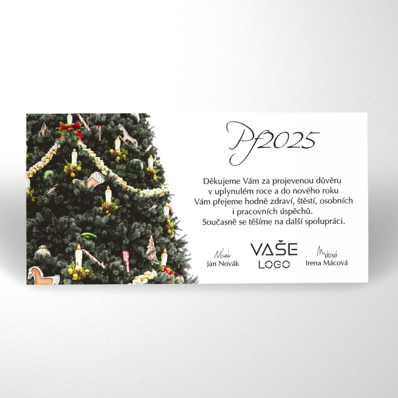 Elektronická novoročenka KN310