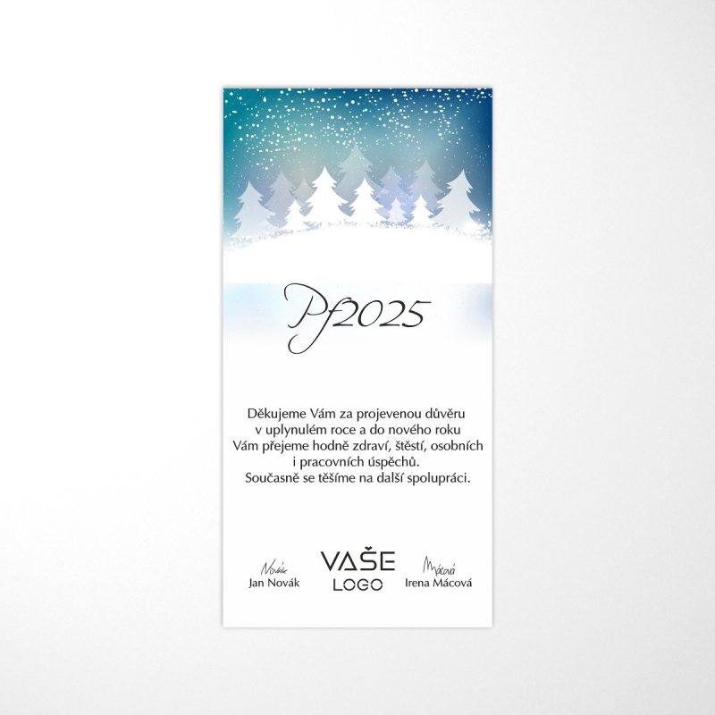 Elektronická novoročenka KN407